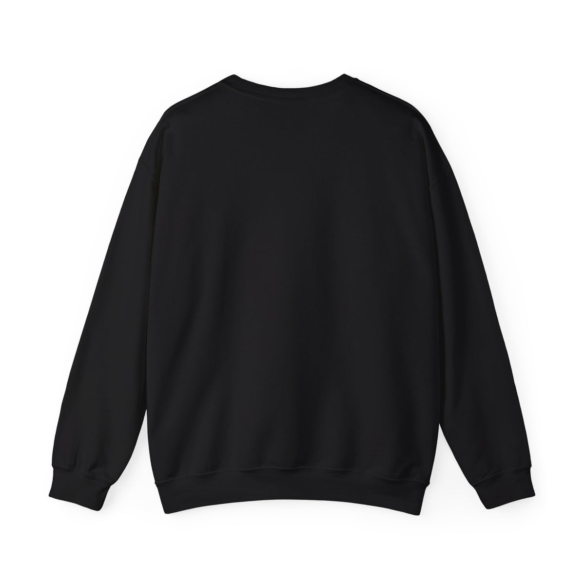 Porcupine Illustration Crewneck Sweatshirt
