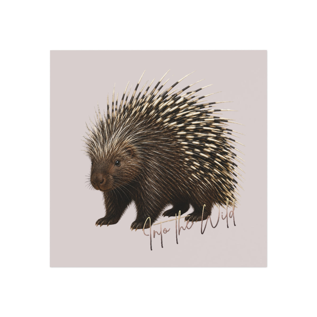 Porcupine 'Into the Wild' Square Magnet