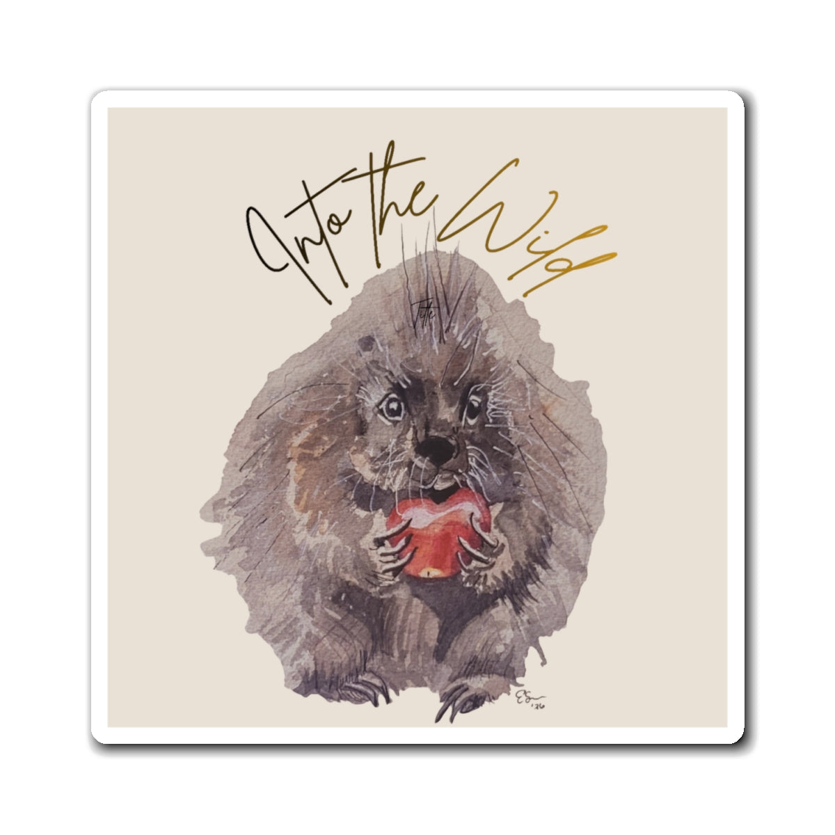 Into the Wild Porcupine with Apple Magnet