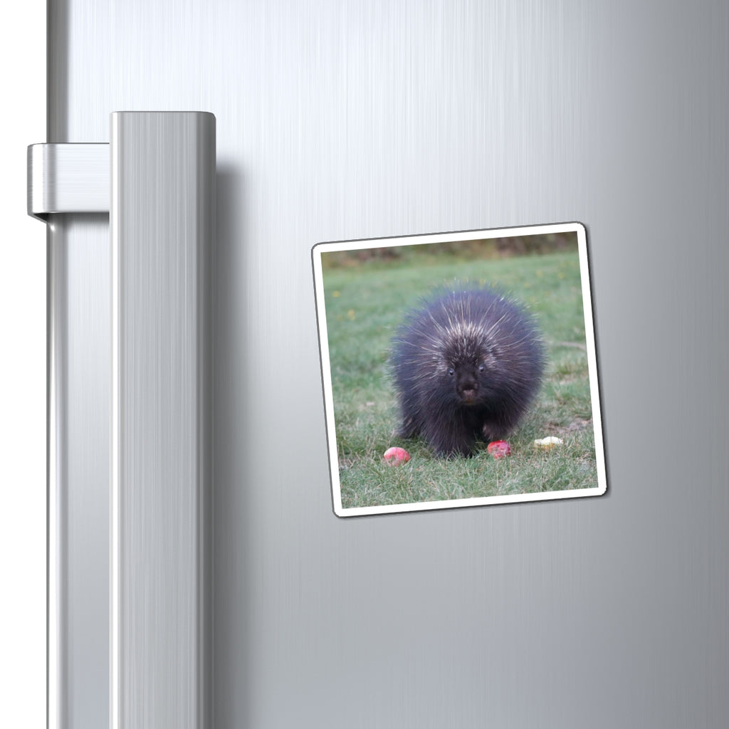 Mr. Cindy Photo Magnet – Cute Wild Animal Refrigerator Magnet