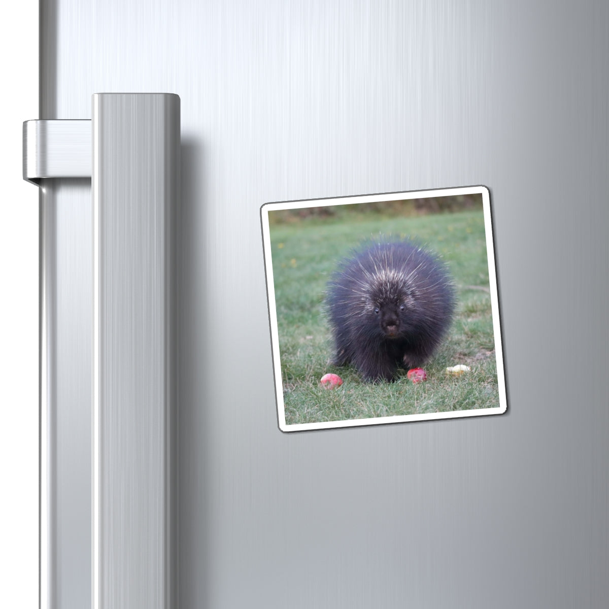 Mr. Cindy Photo Magnet – Cute Wild Animal Refrigerator Magnet