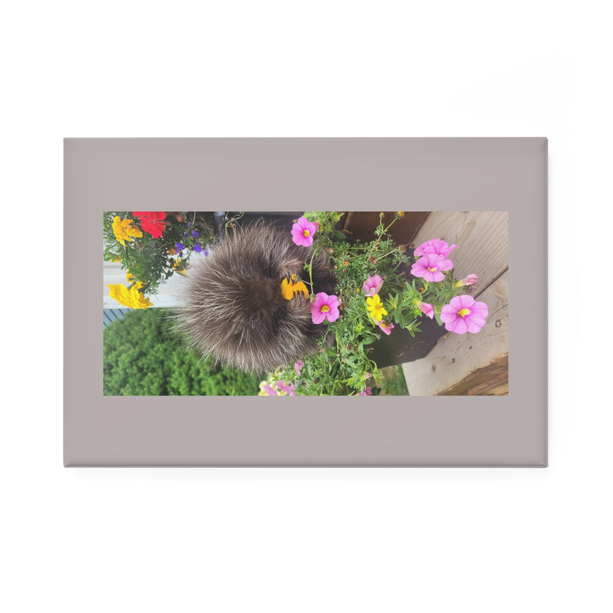Floral Pom-Pom Garden Rectangle Magnet — Cute Flower Photo Fridge Magnet