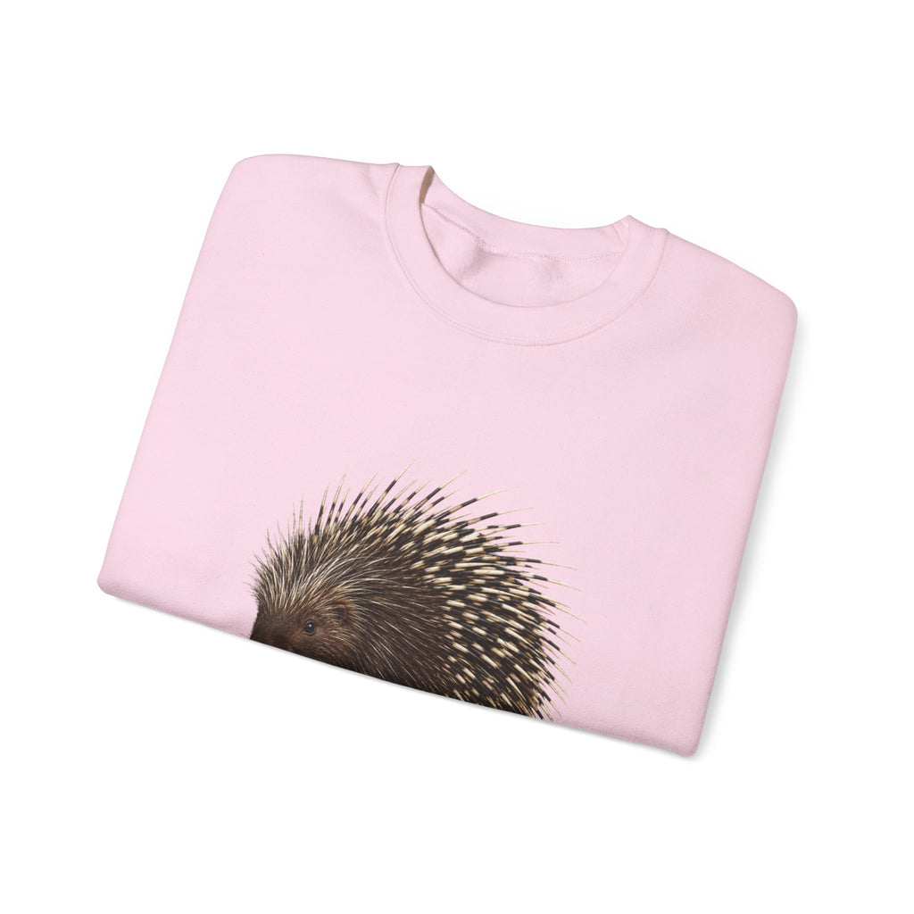 Porcupine Illustration Crewneck Sweatshirt