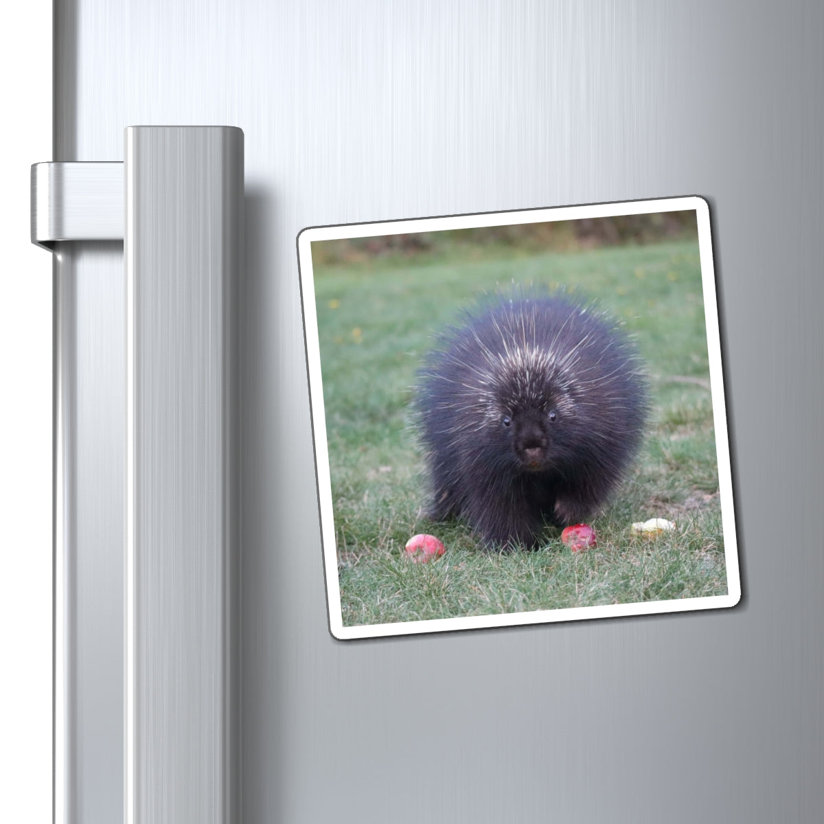 Mr. Cindy Photo Magnet – Cute Wild Animal Refrigerator Magnet
