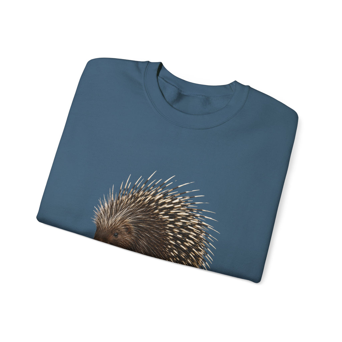 Porcupine Illustration Crewneck Sweatshirt