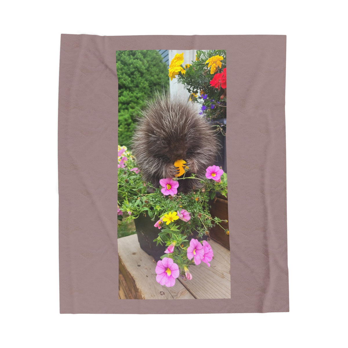 Tiny Tunia Porcupine  Velveteen Plush Blanket