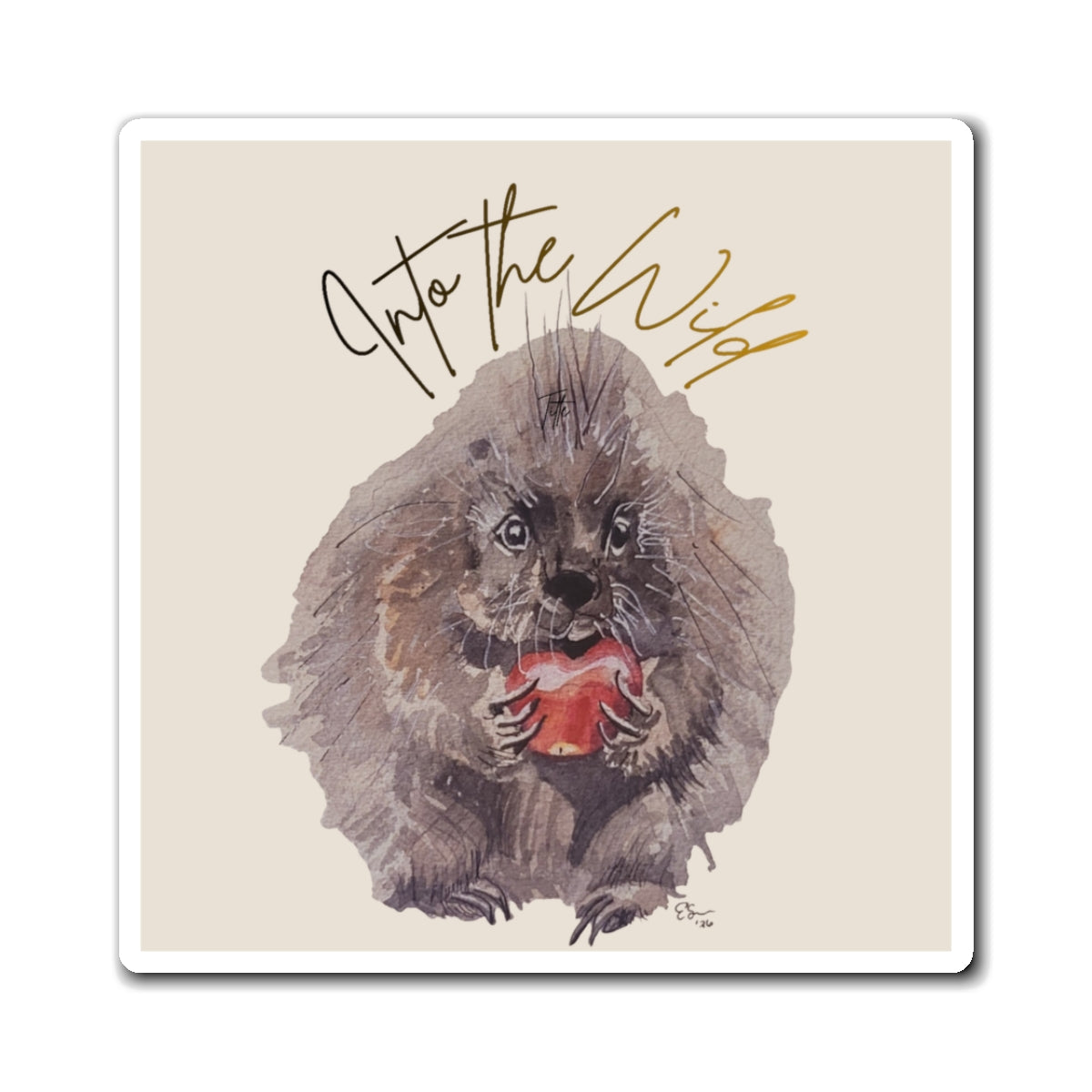 Into the Wild Porcupine with Apple Magnet