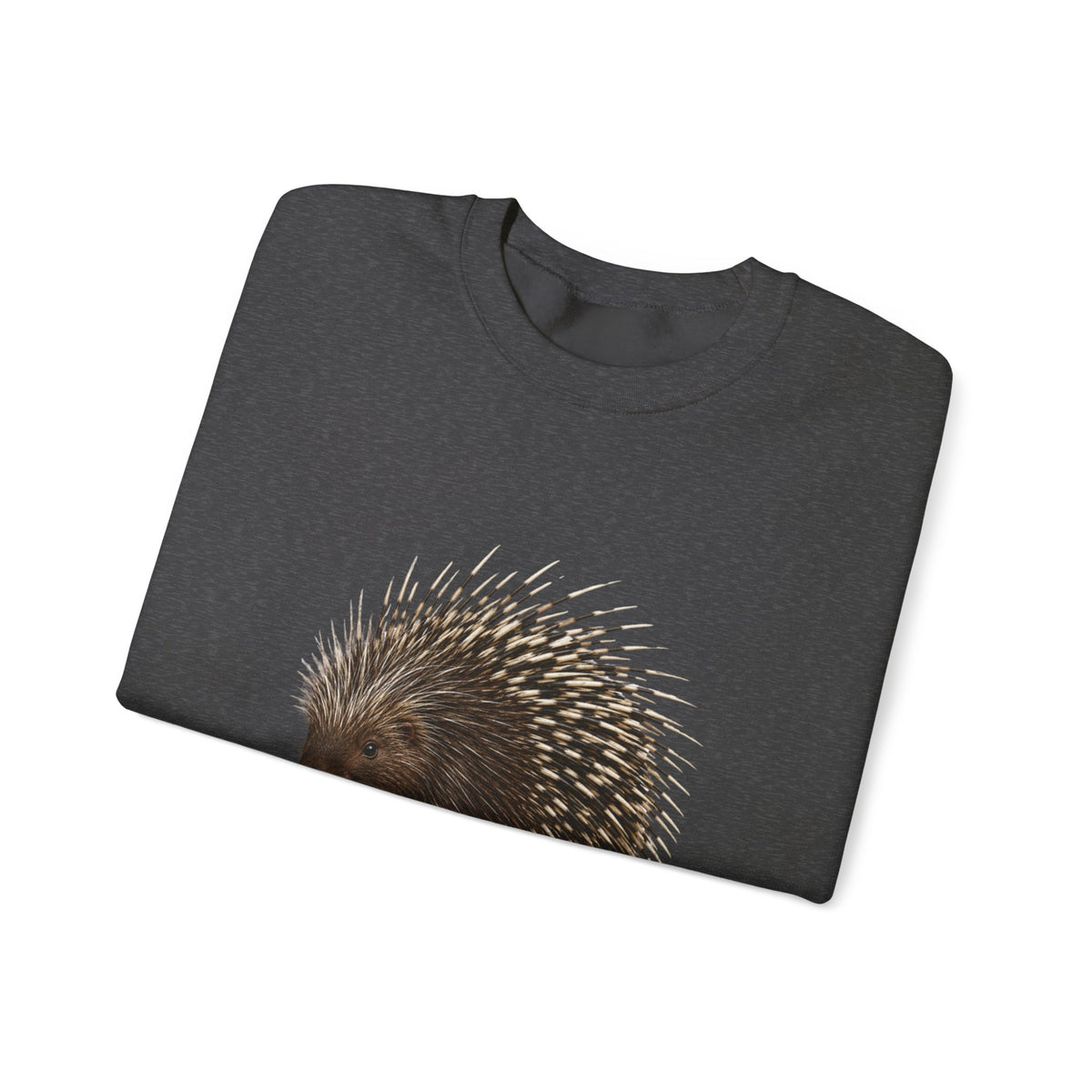 Porcupine Illustration Crewneck Sweatshirt