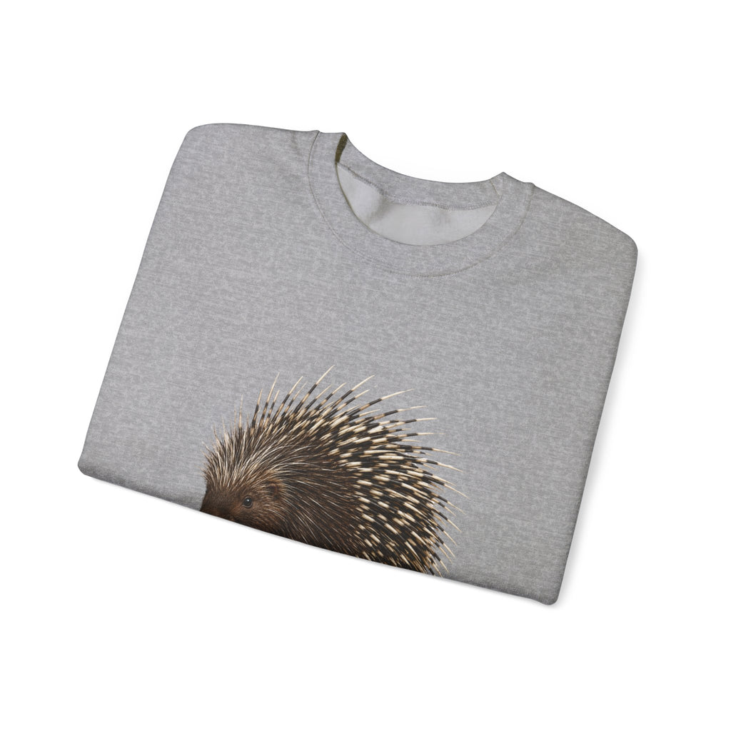 Porcupine Illustration Crewneck Sweatshirt