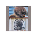 Porky's Club Porcupine Square Magnet